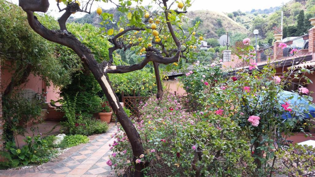 Villa Carmelas Taormina Exterior photo